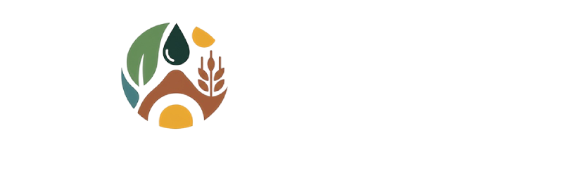 Traditional Basmati Rice Exporters in India